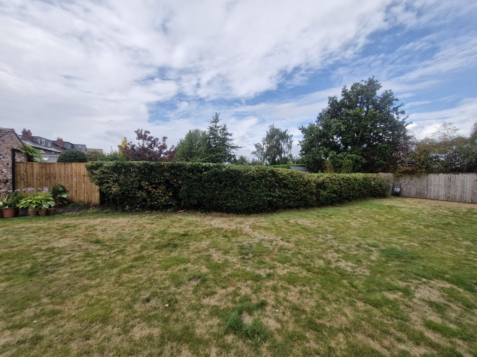 A long mixed rear hedge trimmed flat and even beside a lawn